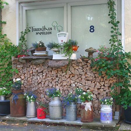 Ferienhaus Napoleon Waldmünchen Zewnętrze zdjęcie