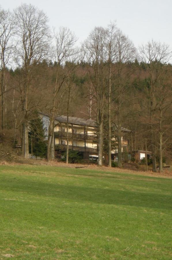 Ferienhaus Napoleon Waldmünchen Zewnętrze zdjęcie